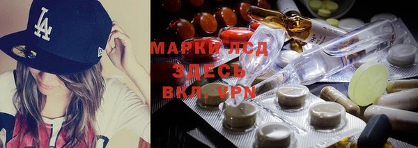 мяу мяу мука Нея