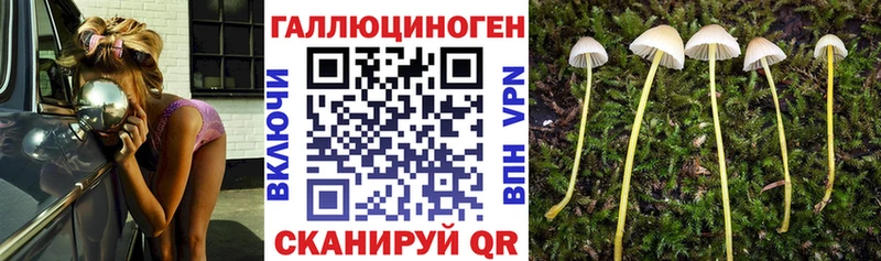 Псилоцибиновые грибы мухоморы  сколько стоит  Старый Крым 
